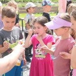 phoca_thumb_m_velky  66 Fotogalerie